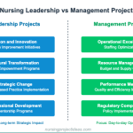 Nursing Leadership and Management Project Ideas